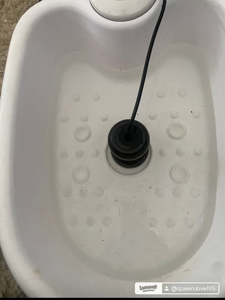 Ionic detox foot spa basin before treatment — clean water ready for session