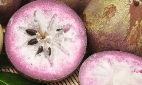 Star apple caimito showing distinctive star pattern interior